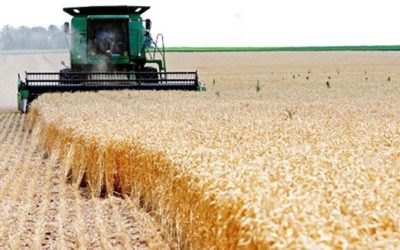 Agriculture : Journée parlementaire sur la banque de semences et son rôle stratégique