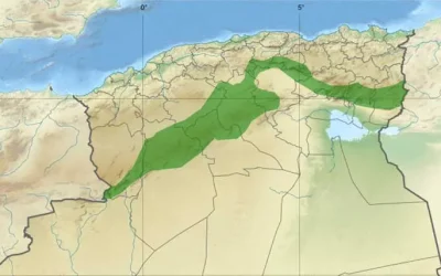 Barrage vert : 26 millions de plants mis en terre dans le cadre du programme 2020-2023