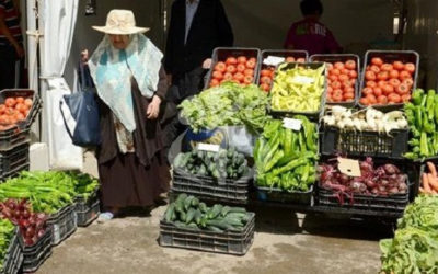 Produits agricoles de large consommation : Les prix de vente au détail seront affichés au quotidien