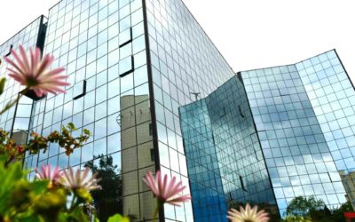 Sonatrach : Projet pilote de plantation de 10 millions d’arbustes pour capter le carbone