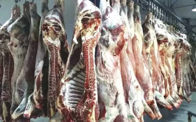 Préparatifs pour le mois de Ramadhan : M. Zitouni: un programme exceptionnel pour l’importation de viandes rouges et blanches