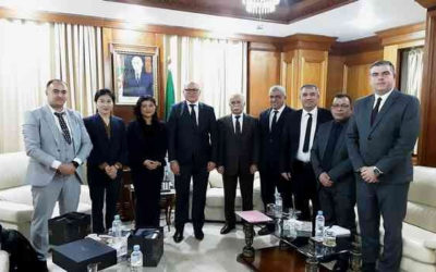 Algérie/ Chine : M.  Yassaâ examine les voies et moyens de renforcer la coopération avec une délégation de la société chinoise “LONGI”