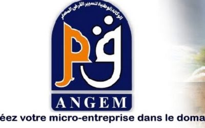 Micro-crédit : 17.000 bénéficiaires du dispositif de l’ANGEM en 2024