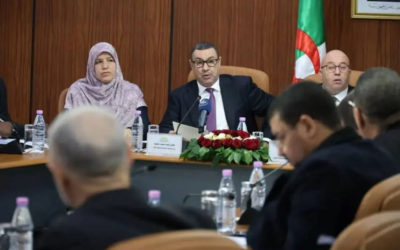 Projet de loi sur les partis : Réorganisation de la pratique politique sur des bases constitutionnelles et juridiques renforcées