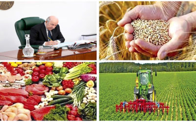 Conclusions du Conseil des ministres sur l’agriculture : Renforcement de la sécurité alimentaire du pays