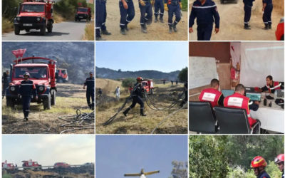 FEUX DE FORÊT : 97% DES INCENDIES QUI ONT TOUCHÉ PLUSIEURS WILAYAS DU PAYS MAITRISÉS