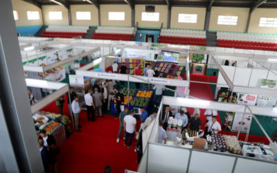 ORAN : TOSYALI ALGÉRIE LANCE LA PRODUCTION DANS SON NOUVEAU COMPLEXE DE LAMINAGE À FROID